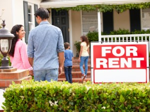 Real Estate Renting Guide